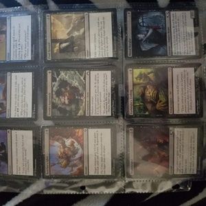 Meet your Posher, Shane